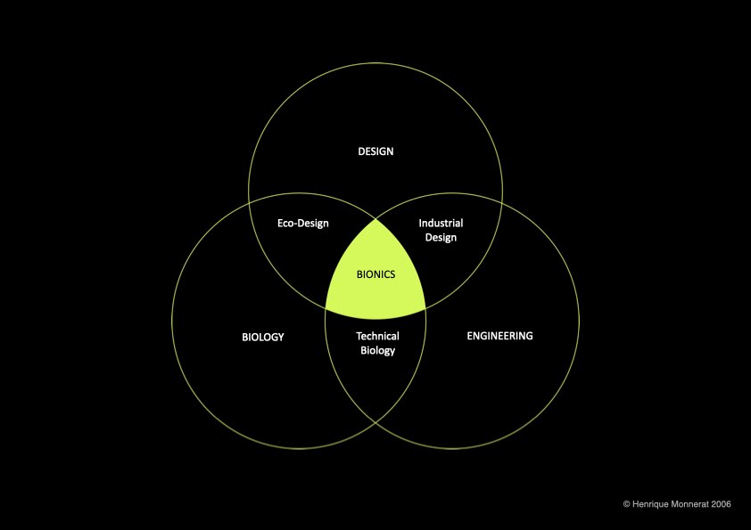 2006-The Intersection of Design Engineering and Biology