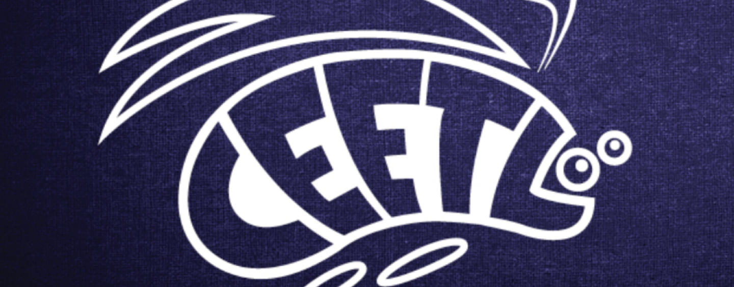 The image comprises two parts. On the top part there is the seal of SFSU and the words Center of Equity and Excellence in Teaching and Learning. The bottom part looks the drawing of a ladybug with the letters CEETL inside. 